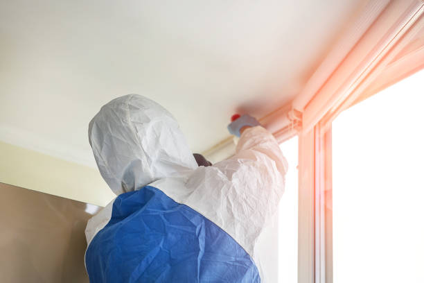 Best Commercial Mold Inspection  in Hays, NC