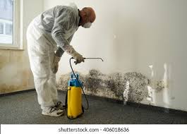 Best Mold Odor Removal Services  in Hays, NC